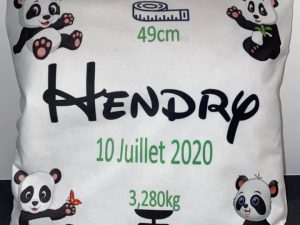 Housse de coussin + rembourrage